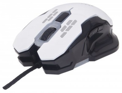 ACCITL4860.jpg