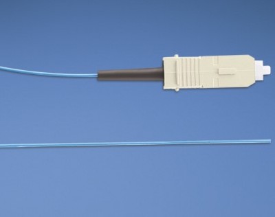 ACCPNT1350.jpg