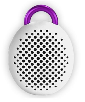 BOCITL720.jpg