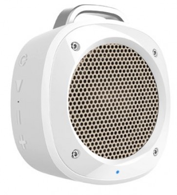 BOCITL880.jpg