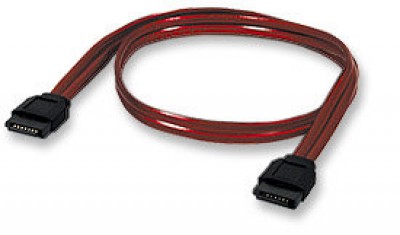 CABITL1100.jpg