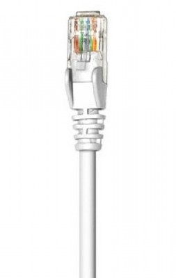 CABITL2510.jpg