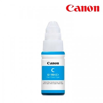 CARCNN4710.jpg
