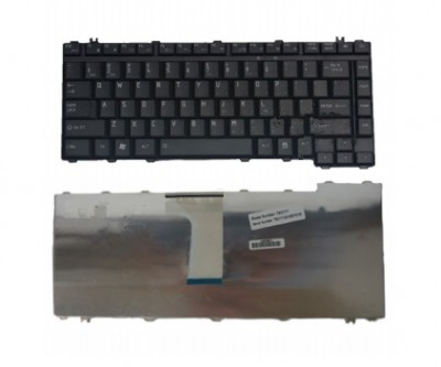 TECBFT1150.jpg