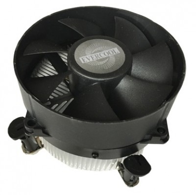 VENRBT010.jpg
